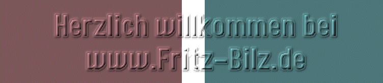 Herzlich willkommen bei www.Fritz-Bilz.de